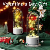 Creative 2 In 1 Rose Flowers LED Light And Bluetooth-compatible Speaker Valentine's Day Gift Rose Luminous Night Light Ornament In Glass Cover - Decorik
