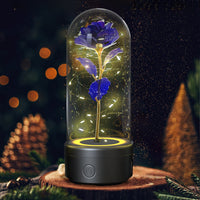 Creative 2 In 1 Rose Flowers LED Light And Bluetooth-compatible Speaker Valentine's Day Gift Rose Luminous Night Light Ornament In Glass Cover - Decorik