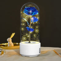 Creative 2 In 1 Rose Flowers LED Light And Bluetooth-compatible Speaker Valentine's Day Gift Rose Luminous Night Light Ornament In Glass Cover - Decorik