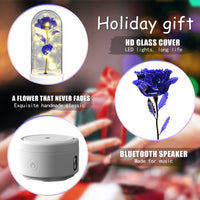 Creative 2 In 1 Rose Flowers LED Light And Bluetooth-compatible Speaker Valentine's Day Gift Rose Luminous Night Light Ornament In Glass Cover - Decorik